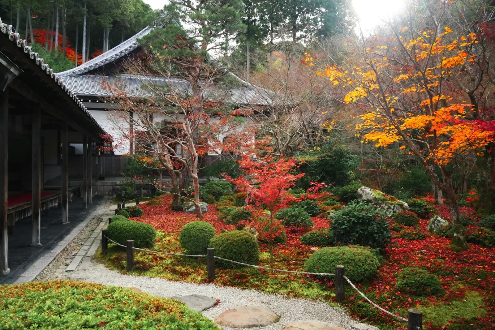 京都の日本庭園と伝統建築
